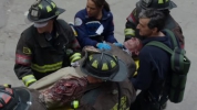 Chicago Fire | Chicago Med 209 - Captures 